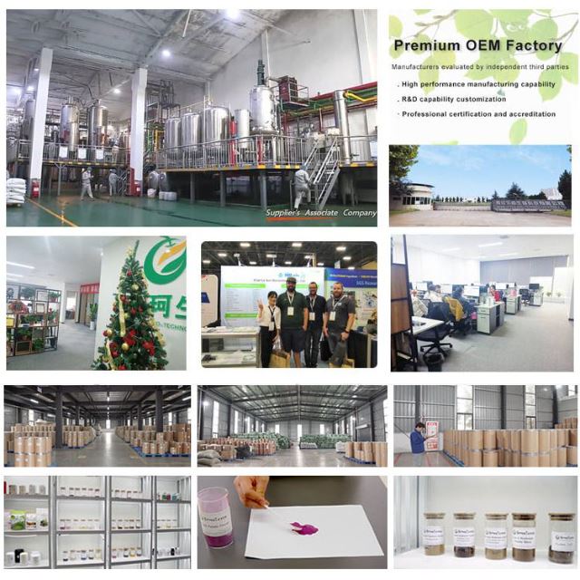 Solanum Nigrum Extract best