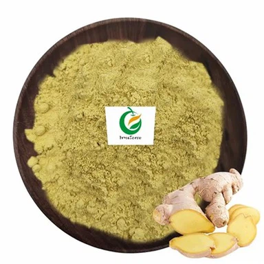 Powdwr Detholiad Gwraidd Ginger